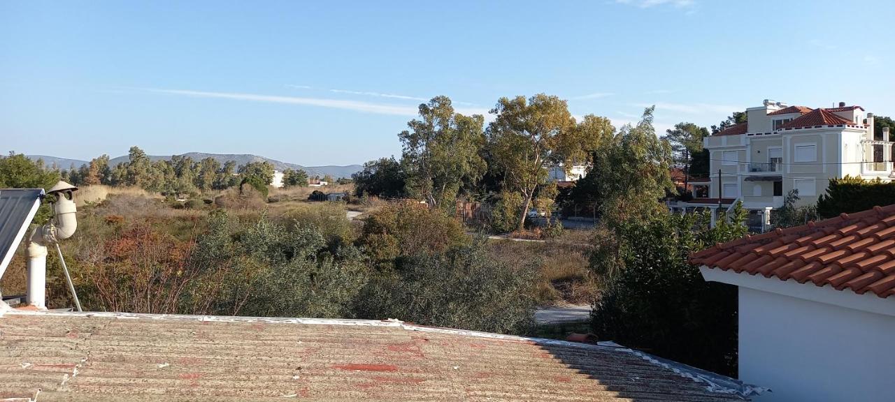 فيلا Elizas House Néa Mákri المظهر الخارجي الصورة
