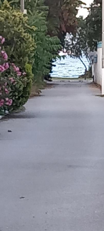 فيلا Elizas House Néa Mákri المظهر الخارجي الصورة